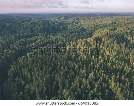 drone image. aerial view of rural area with forest river in summer morning - vintage effect