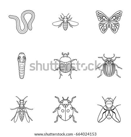 Insects set icons in outline style. Big collection of insects vector symbol stock illustration