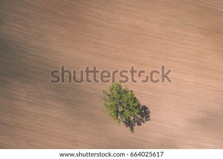 drone image. aerial view of rural area with freshly cultivated fields. green and brown with single isolated tree - vintage effect