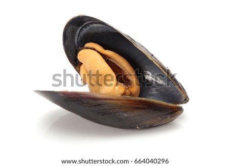 Seafood: Mussels 