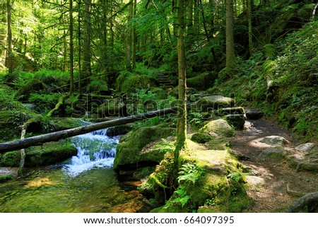 Gertelbach waterfalls, Black Forest, Germany
