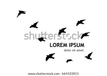 Flock of birds silhouette. Vector