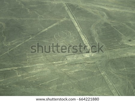 The Nazca Lines in Peru, here you can see the Parrot