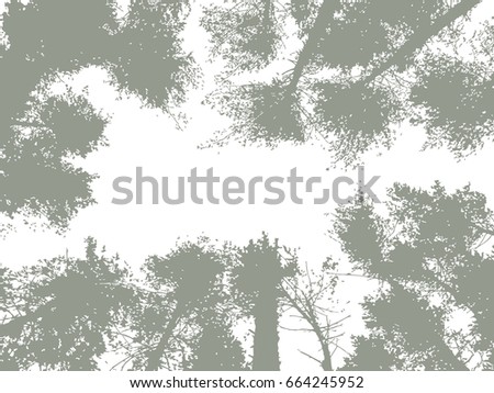 the horizontal vector grunge texture. abstraction background. illustration for your design