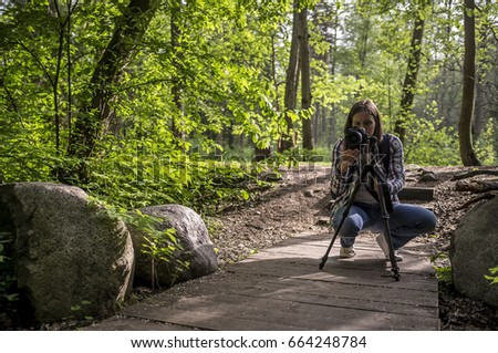 Concentrated woman photographer takes pictures of summer forest and ecological paths in the sunlight on a camera that stands on a tripod.