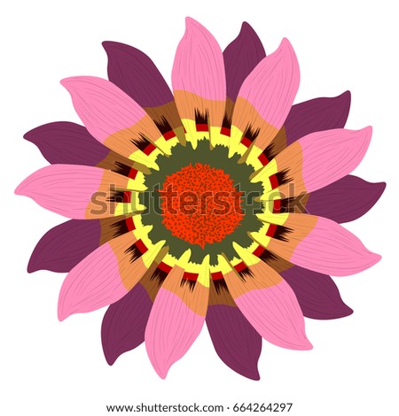 Isolated detailed flower on a white background, Vector illustration