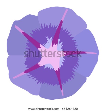 Isolated detailed flower on a white background, Vector illustration