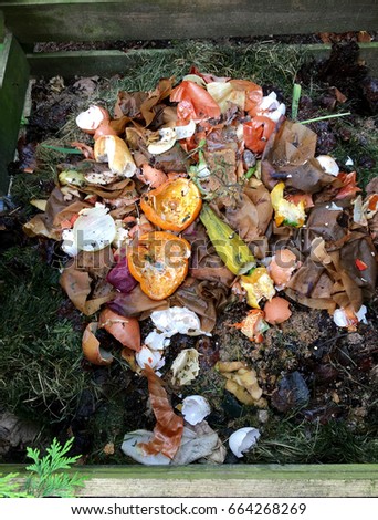 Fresh bio waste and compost with orange peels in the garden