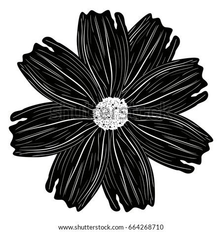 Isolated silhouette of a detailed flower, Vector illustration