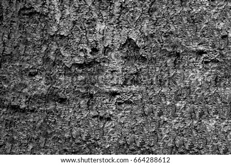 Grey background created from picture of tree bark surface.

