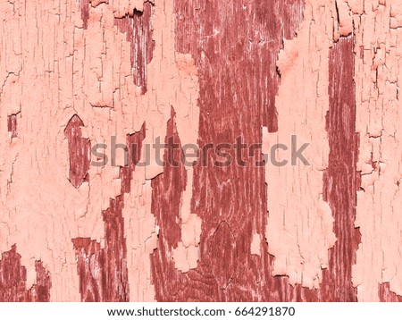 Pink tinted weathered pastel wall with peeling paint