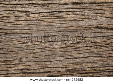 Natural old cracked wood surface. Texture background.