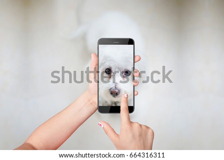 Little girl taking photo of her dog with smartphone