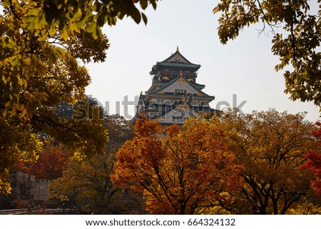 Osaka-jo Castle, Japan, autumn, colored leaves