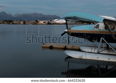 Lake Otter 