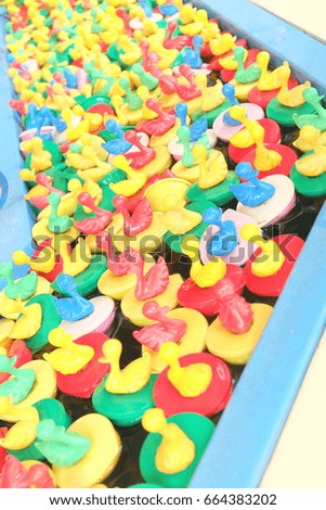 Colorful duck toys floating in the pool.