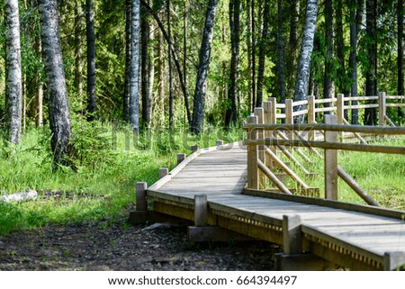 wooden footbridge in the forest in the countryside surrounded by green foliage