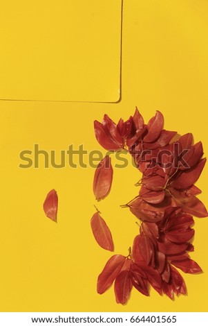 the man face made by red leaves on orange background
