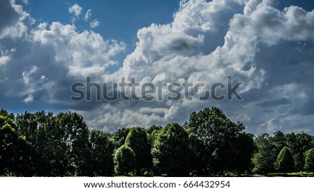 Cloudy Field