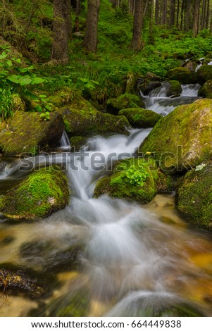 Pristine waterfalls in a mountain forest in summer