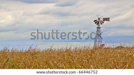 windmill corn field