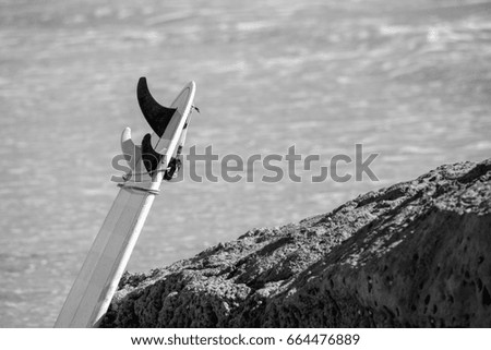 Surfboard on rocks near the ocean