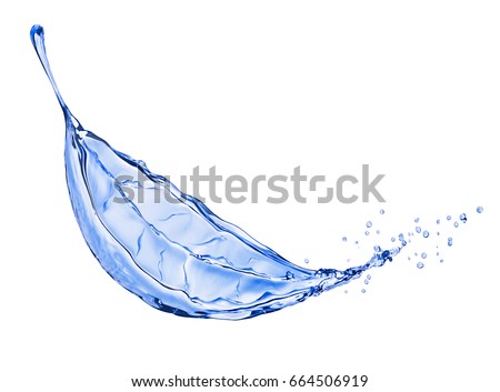 Water splash in the form of a leaf of a tree, isolated on white background 
