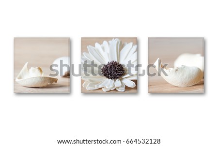 Frames set with abstract floral motif pictures, interior decor wallpaper mockup