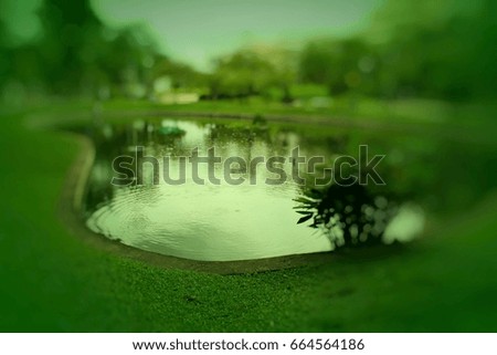 Picture of a pond in a park, blurred image.