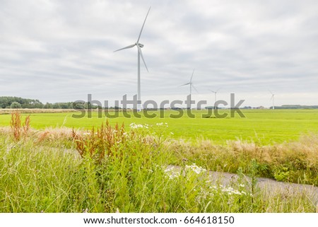 Dutch polder landscape with dike and bike path and grasses  and plants in the roadsides against beautiful cloudy sky with blue spots