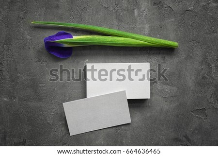 Business cards and iris flower on grey background