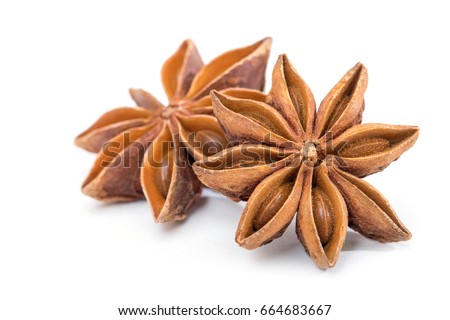 Star anise spice fruits and seeds isolated on white background closeup Royalty-Free Stock Photo #664683667