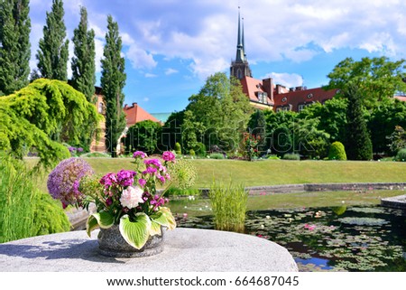 Botanical garden of Wroclaw. View of the cathedral and the lake with lotuses.