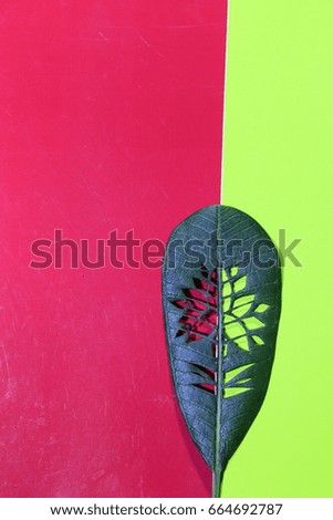the perforated design of  flower on green leaf on red and yellow  background