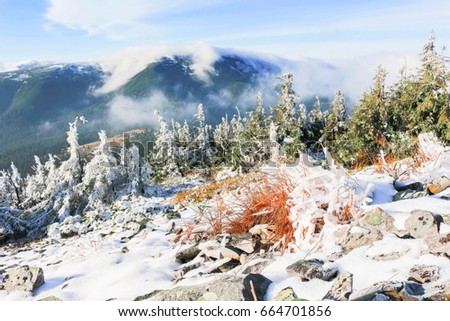 Snowyl autumn landscape in the mountains.