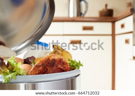 Fresh Food In Garbage Can To Illustrate Waste Royalty-Free Stock Photo #664712032