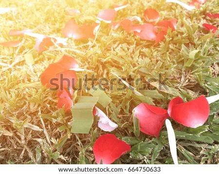 Red rose petals on a green lawn. Not everyone will "The path is strewn with roses"