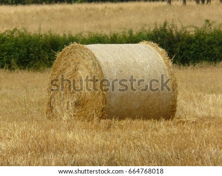 Big hay roll up close and personal in dry field