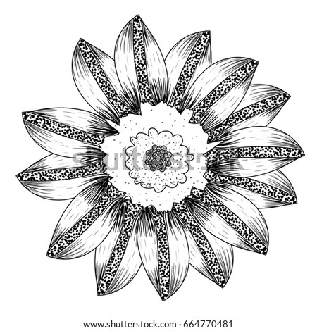 Isolated sketch of a flower, Vector illustration