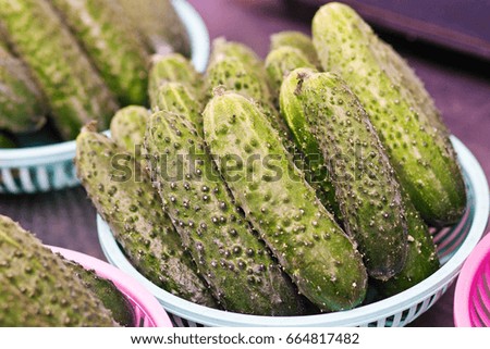 Ripe cucumbers in the fruit and vegetable market
