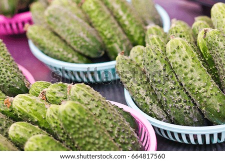 Ripe cucumbers in the fruit and vegetable market
