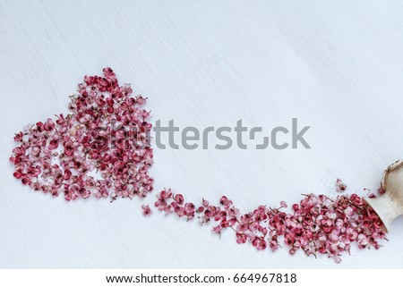 Stylish old vase, pink flower petals on a white background. Beautiful fantasy spring still life. Flat lay. Space for text