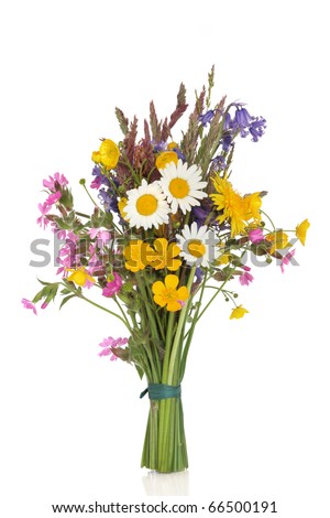 Wildflower and grass varieties tied in a bunch isolated over white background. Royalty-Free Stock Photo #66500191