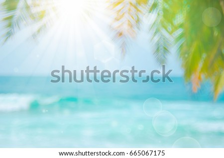 Blur beautiful nature green palm leaf on tropical beach with bokeh sun light wave abstract background.  