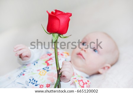 Cute little baby girl playing with a flower rose