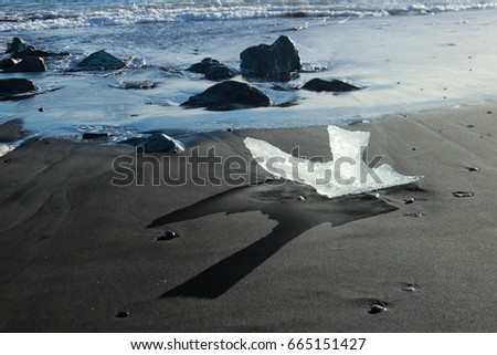 Piece of ice that looks like bird on a black beach near glacier lagoon 