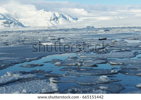 Ice pieces in glacier lagoon with seals laying on them, south of Iceland