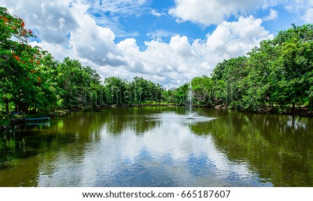 Natural forest garden and river