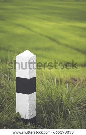 Milestone over green rice field, vertical image with retro filtered
