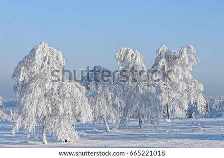 Winter on the Kniebis Black Forest Germany
